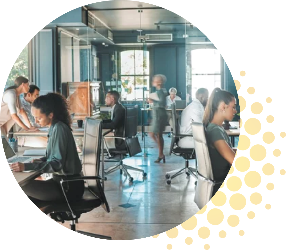 Dedicated and Broadband Internet